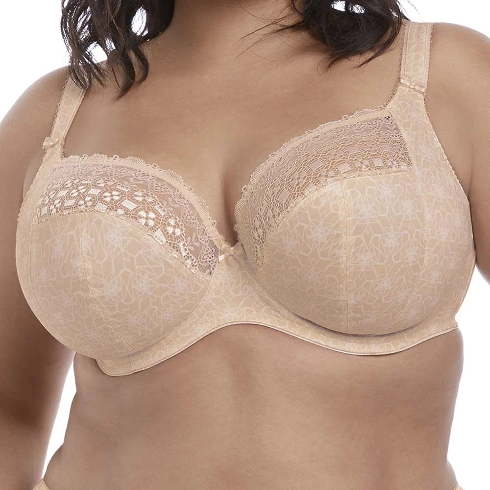 ELOMI Kim Underwired Plunge Bra - EL4340 3 ELOMI Kim Underwired Plunge Bra - EL4340 - Image 3
