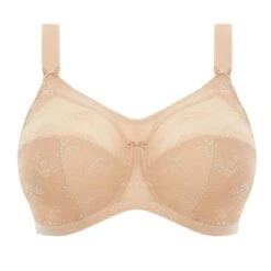 GODDESS Alice Wired Bra - GD6041