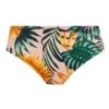 Jungle Falls Mid Rise Bikini Briefs - FS502672