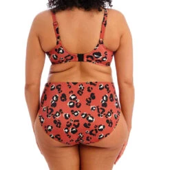 Kotiya Underwired Plunge Bikini Top - ES800902 11 Kotiya Underwired Plunge Bikini Top - ES800902 -Outlet Comfort Soft Cup Bra Store img041777