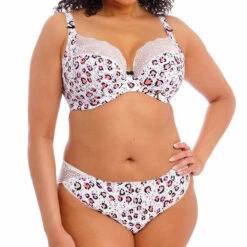 ELOMI Lucie Brazilian Briefs - EL4495 10 ELOMI Lucie Brazilian Briefs - EL4495 -Outlet Comfort Soft Cup Bra Store img041915 1